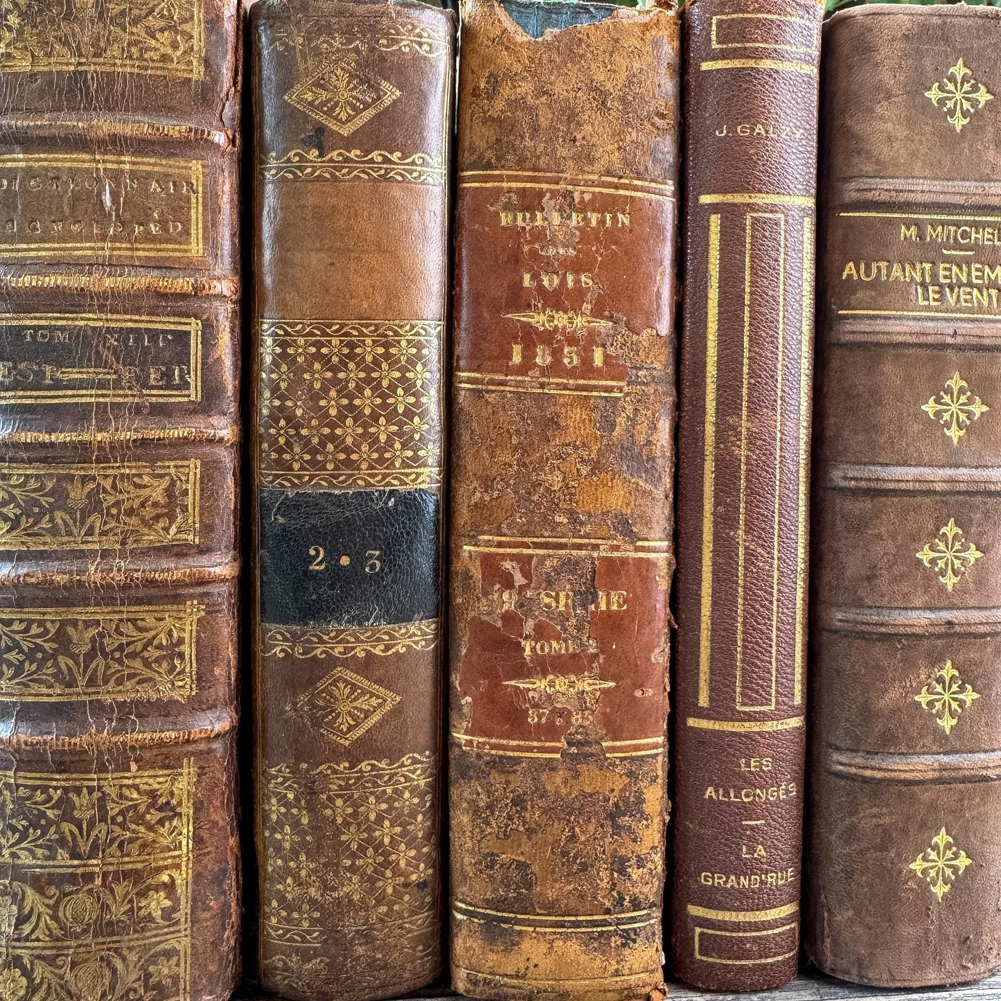 Antique French Caramel Brown and Gold Leather Book Set - Pretty Old Books