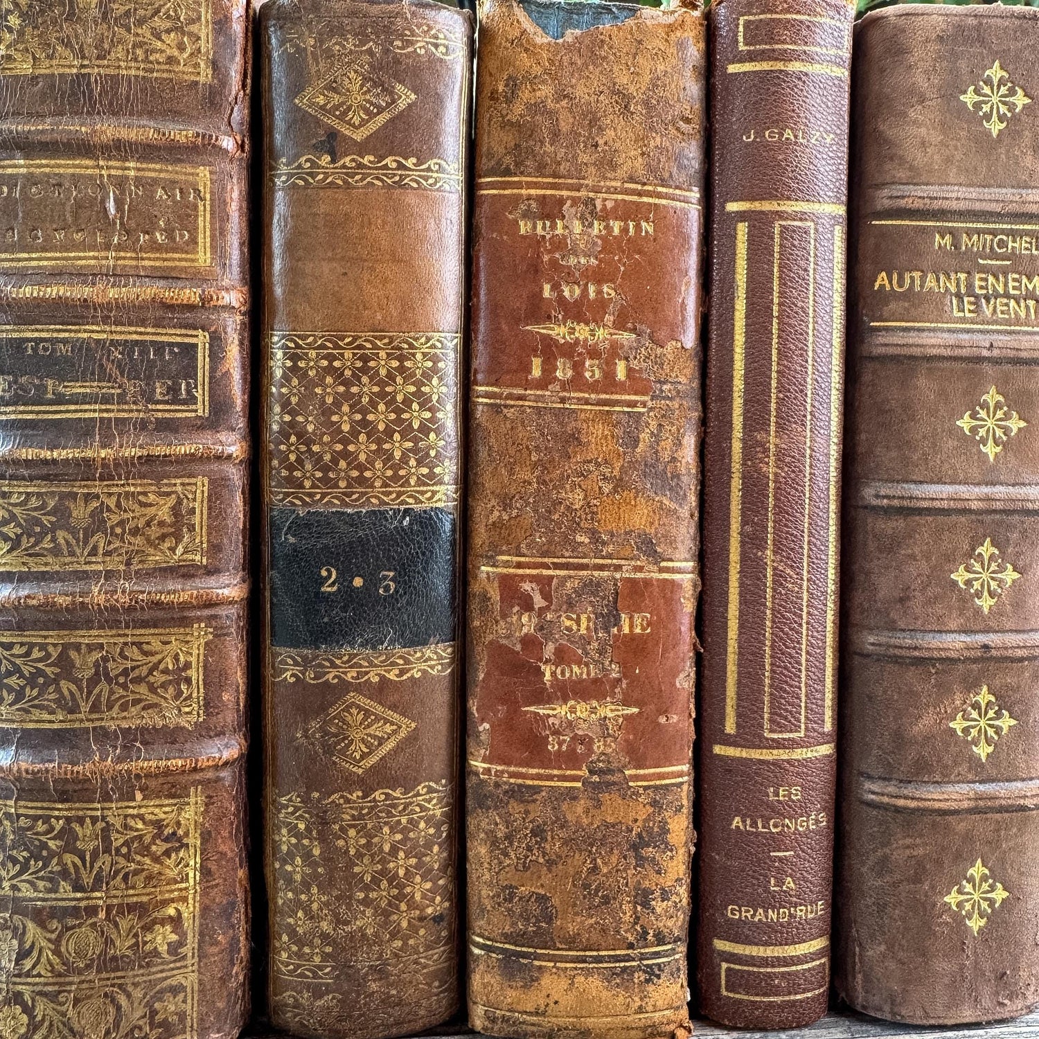 Antique French Caramel Brown and Gold Leather Book Set - Pretty Old Books