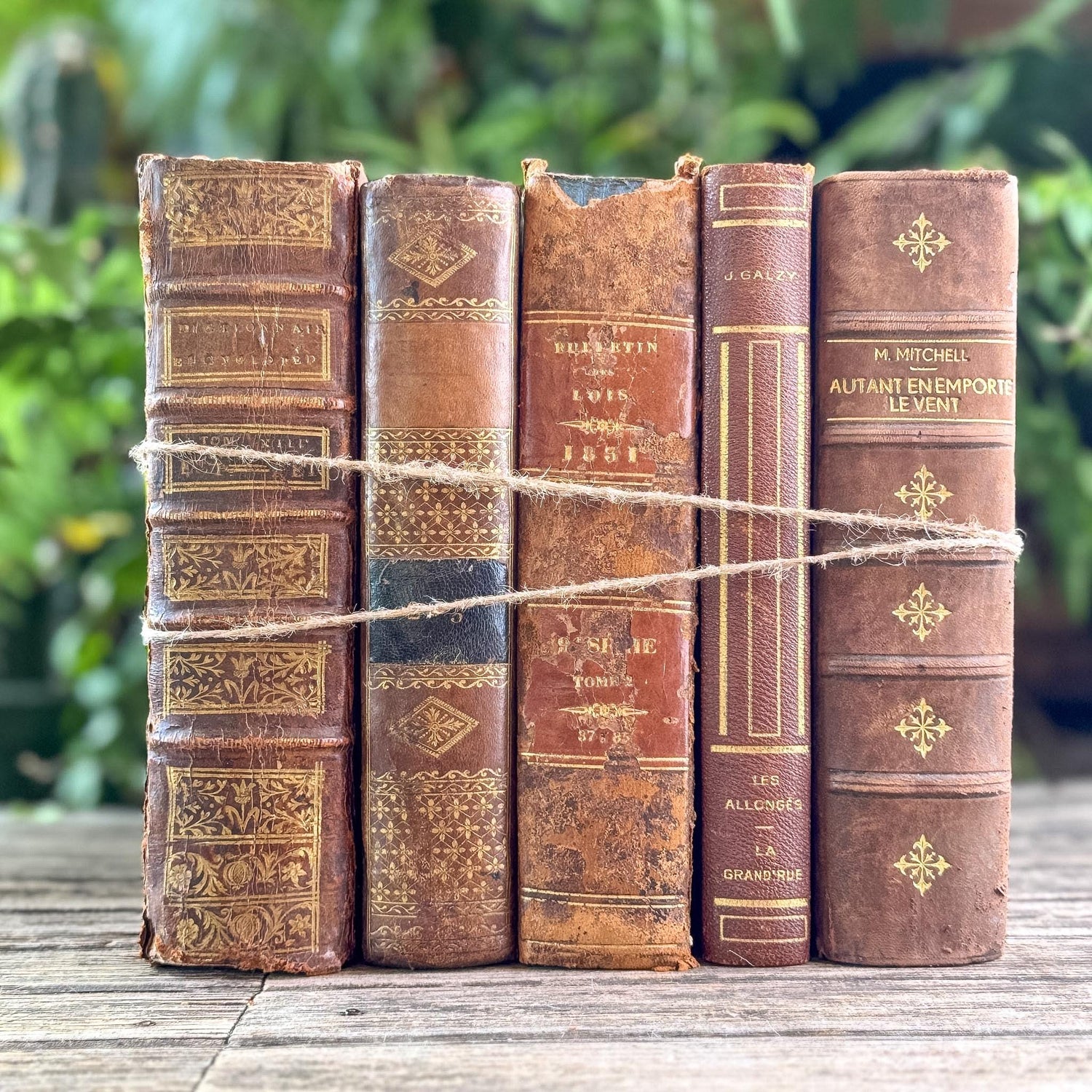 Antique French Caramel Brown and Gold Leather Book Set - Pretty Old Books