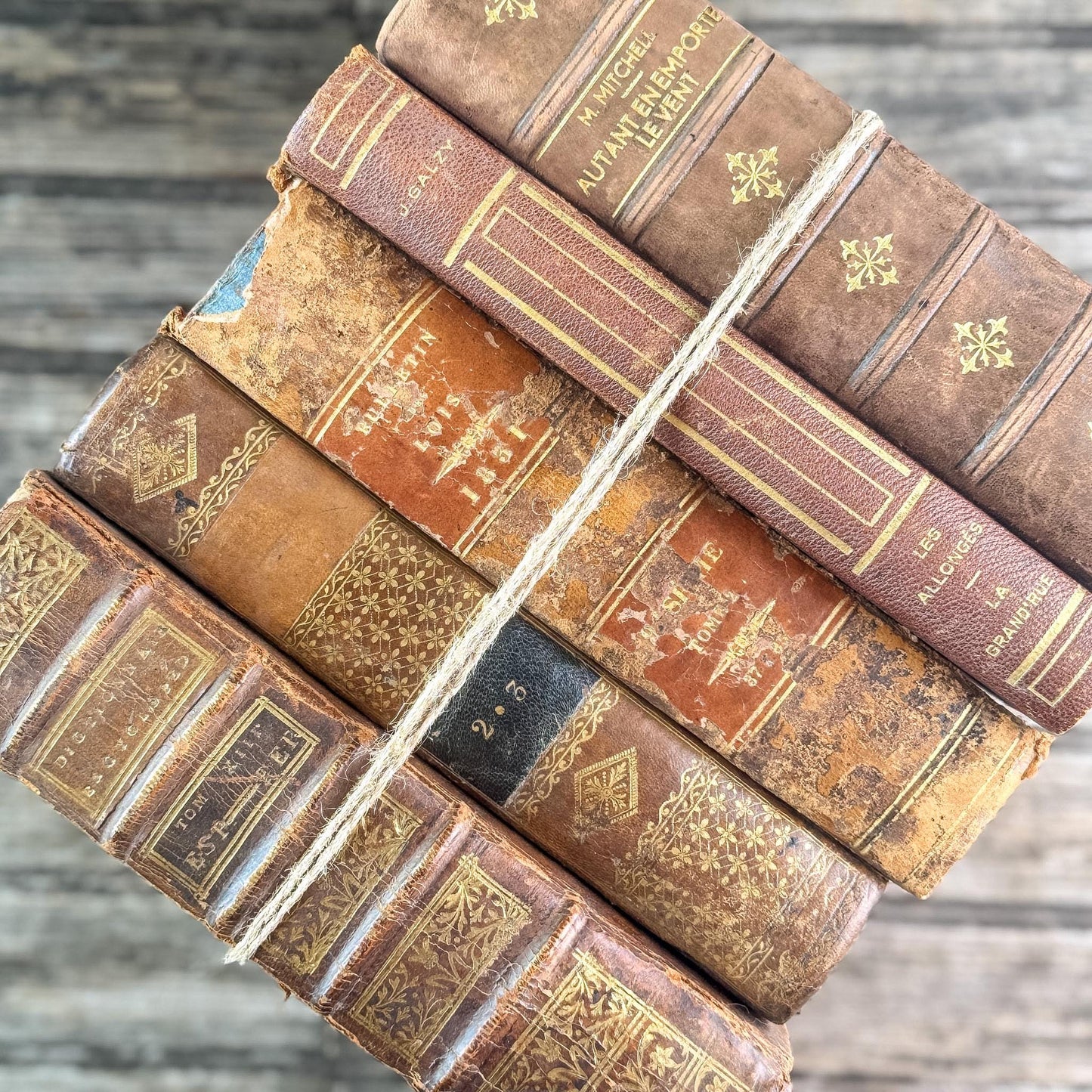 Antique French Caramel Brown and Gold Leather Book Set - Pretty Old Books