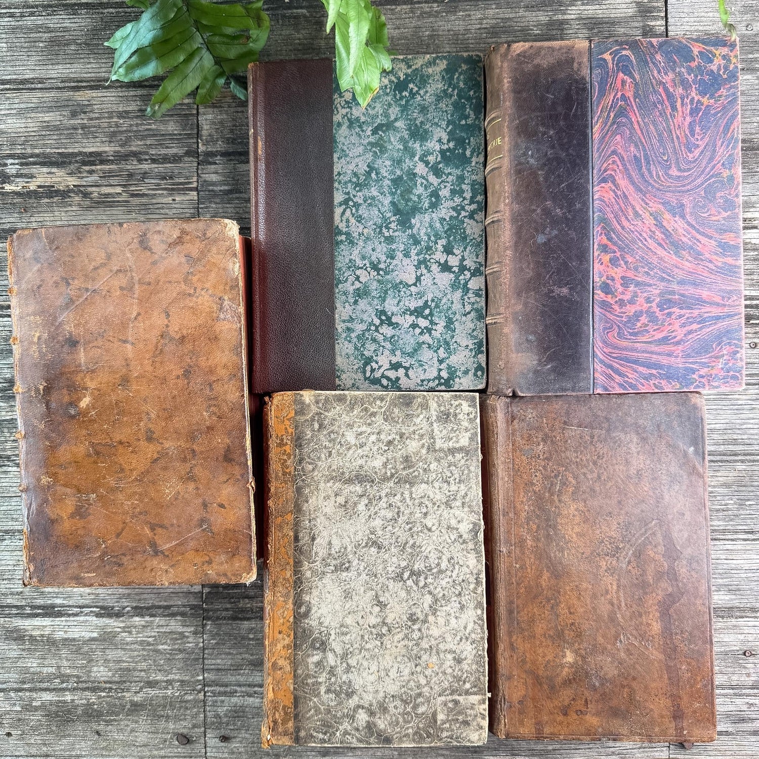Antique French Caramel Brown and Gold Leather Book Set - Pretty Old Books