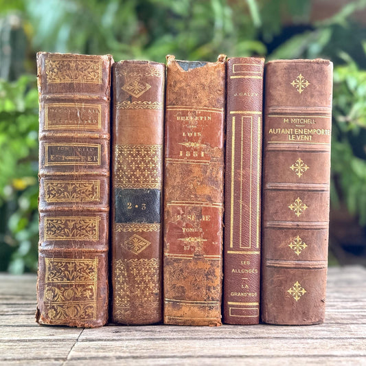 Antique French Caramel Brown and Gold Leather Book Set - Pretty Old Books
