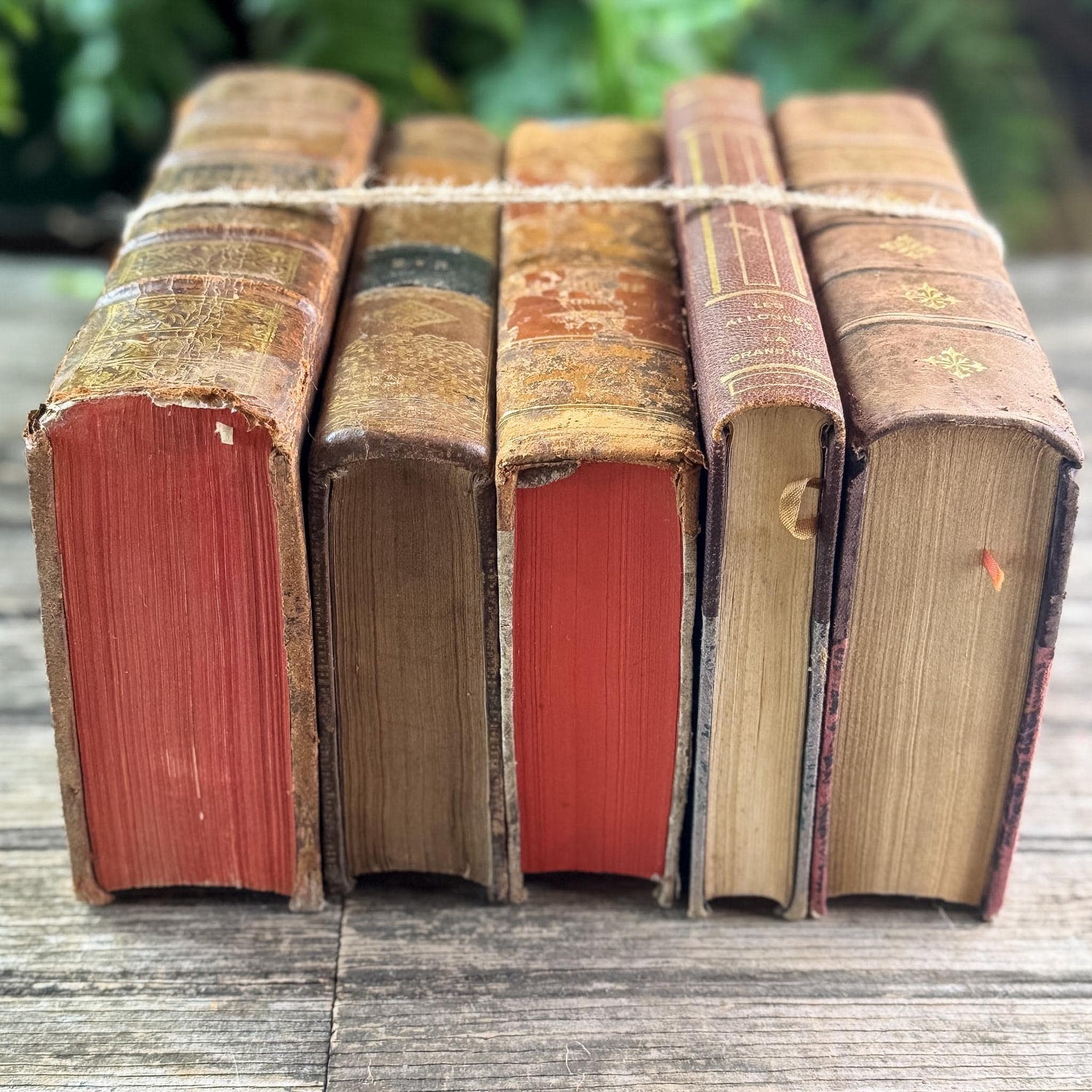 Antique French Caramel Brown and Gold Leather Book Set - Pretty Old Books