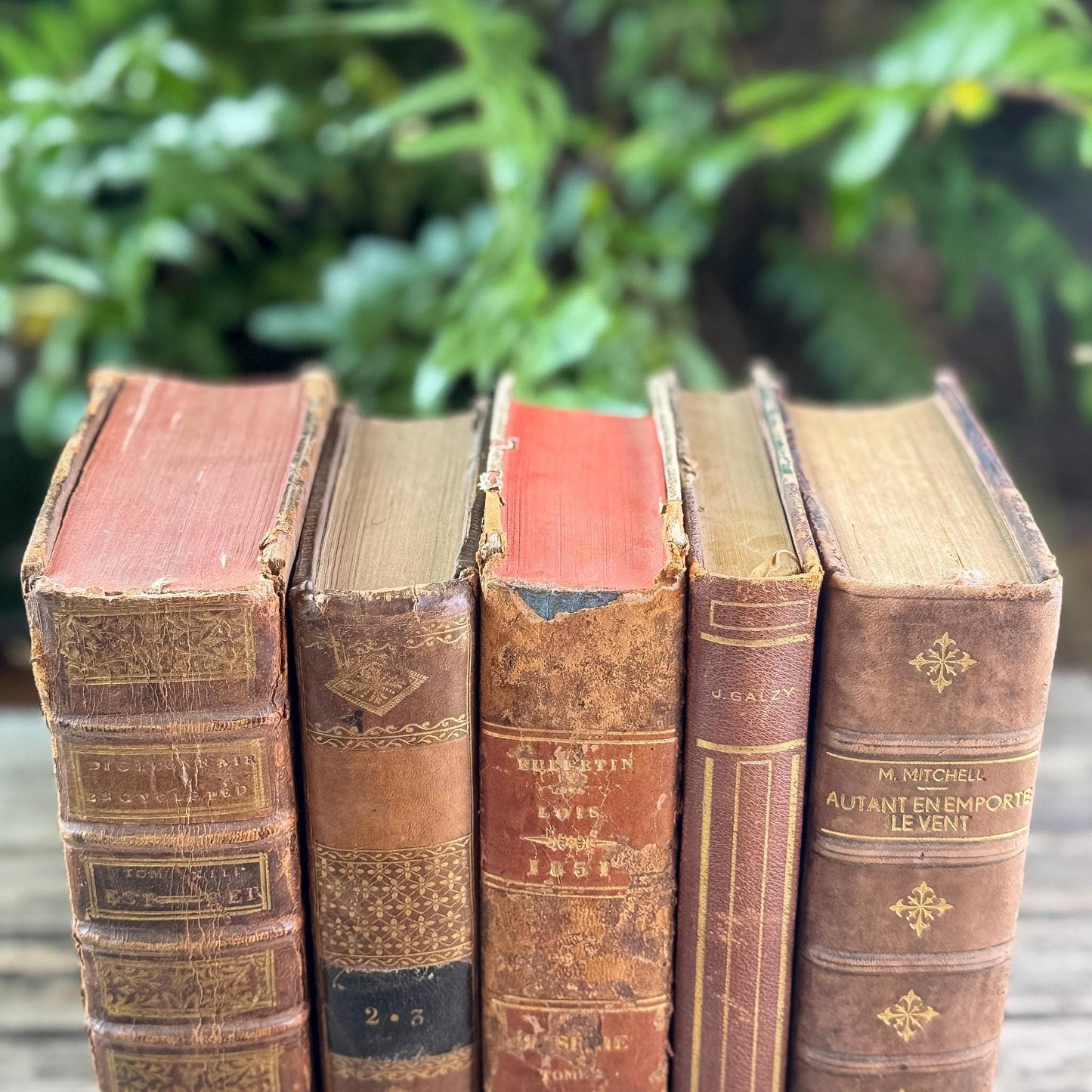 Antique French Caramel Brown and Gold Leather Book Set - Pretty Old Books