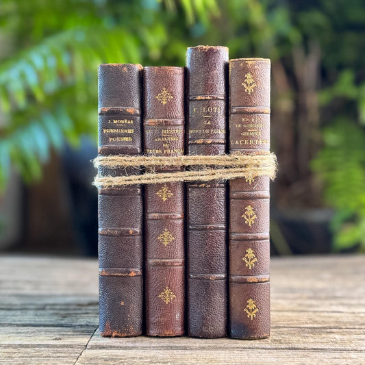 Antique French Half Leather Book Set in Brown and Oxblood with Marbled Boards - Pretty Old Books