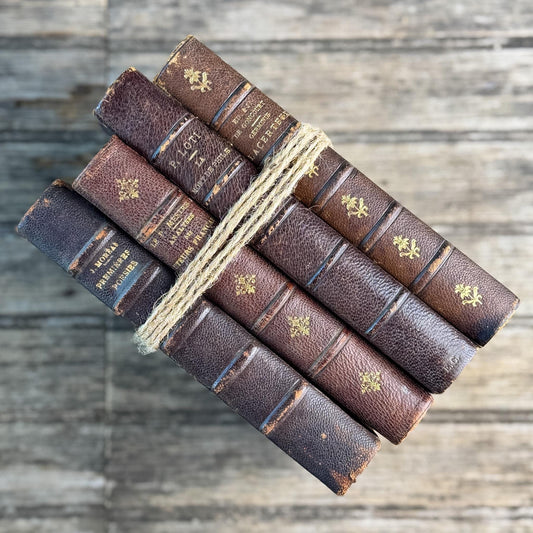 Antique French Half Leather Book Set in Brown and Oxblood with Marbled Boards - Pretty Old Books