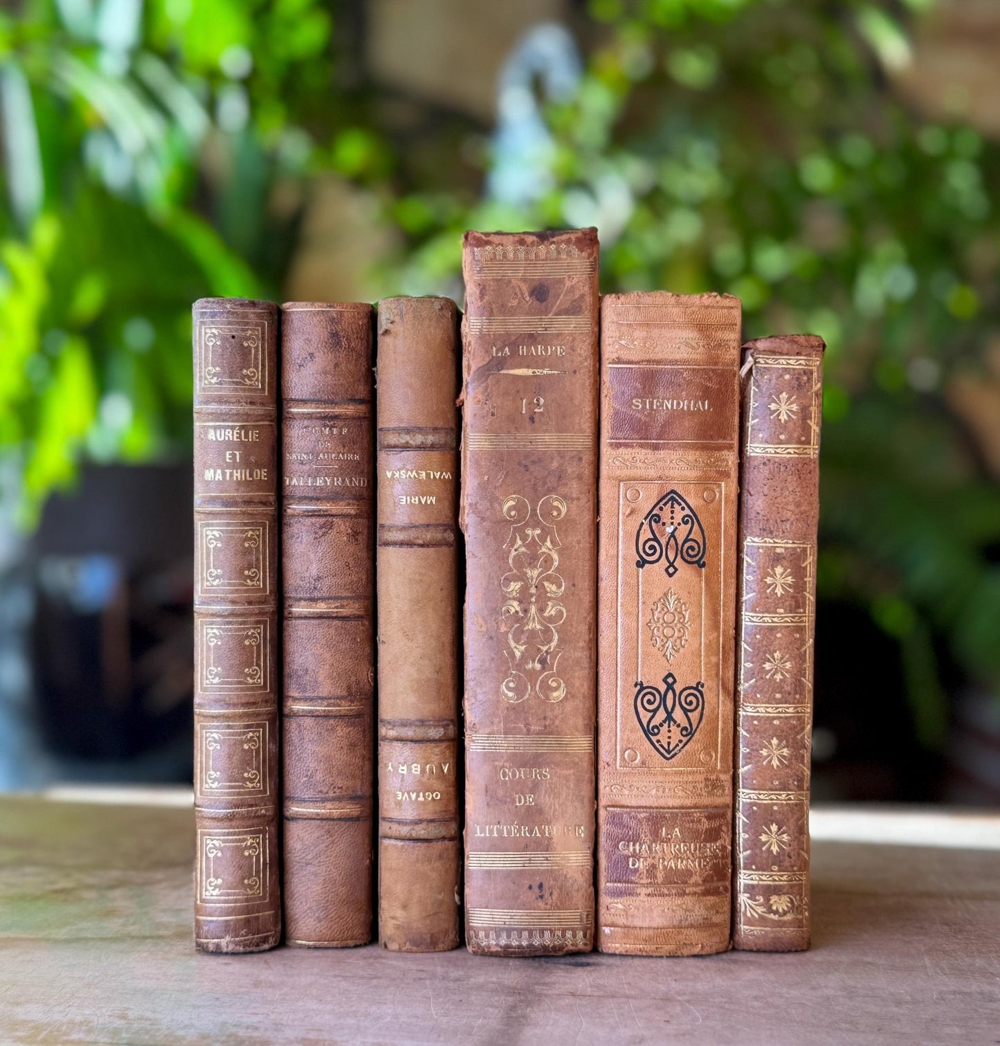 Antique French Leather Book Bundle in Caramel, Brown, and Tan - Pretty Old Books