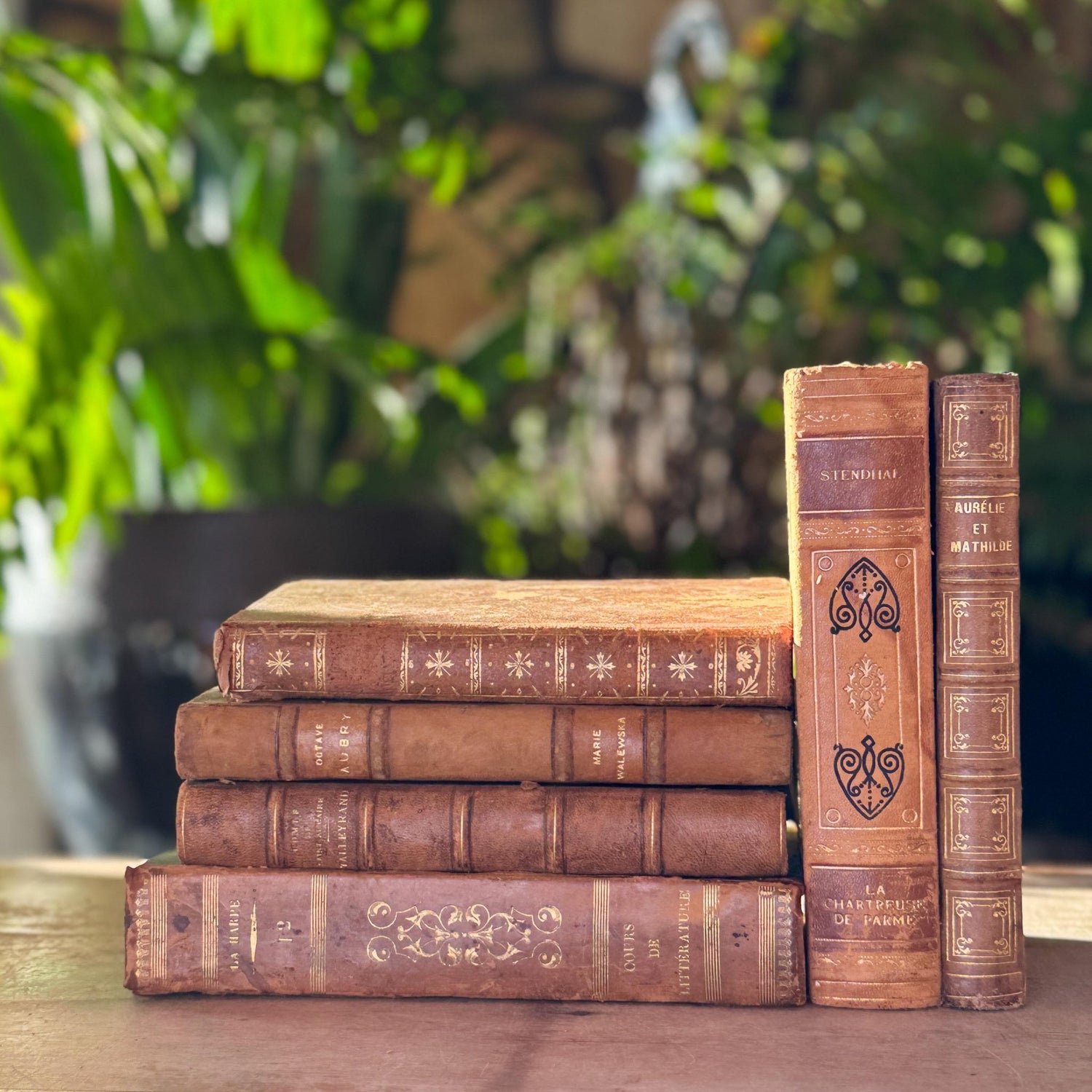 Antique French Leather Book Bundle in Caramel, Brown, and Tan - Pretty Old Books