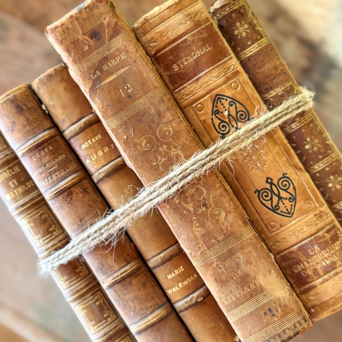 Antique French Leather Book Bundle in Caramel, Brown, and Tan - Pretty Old Books