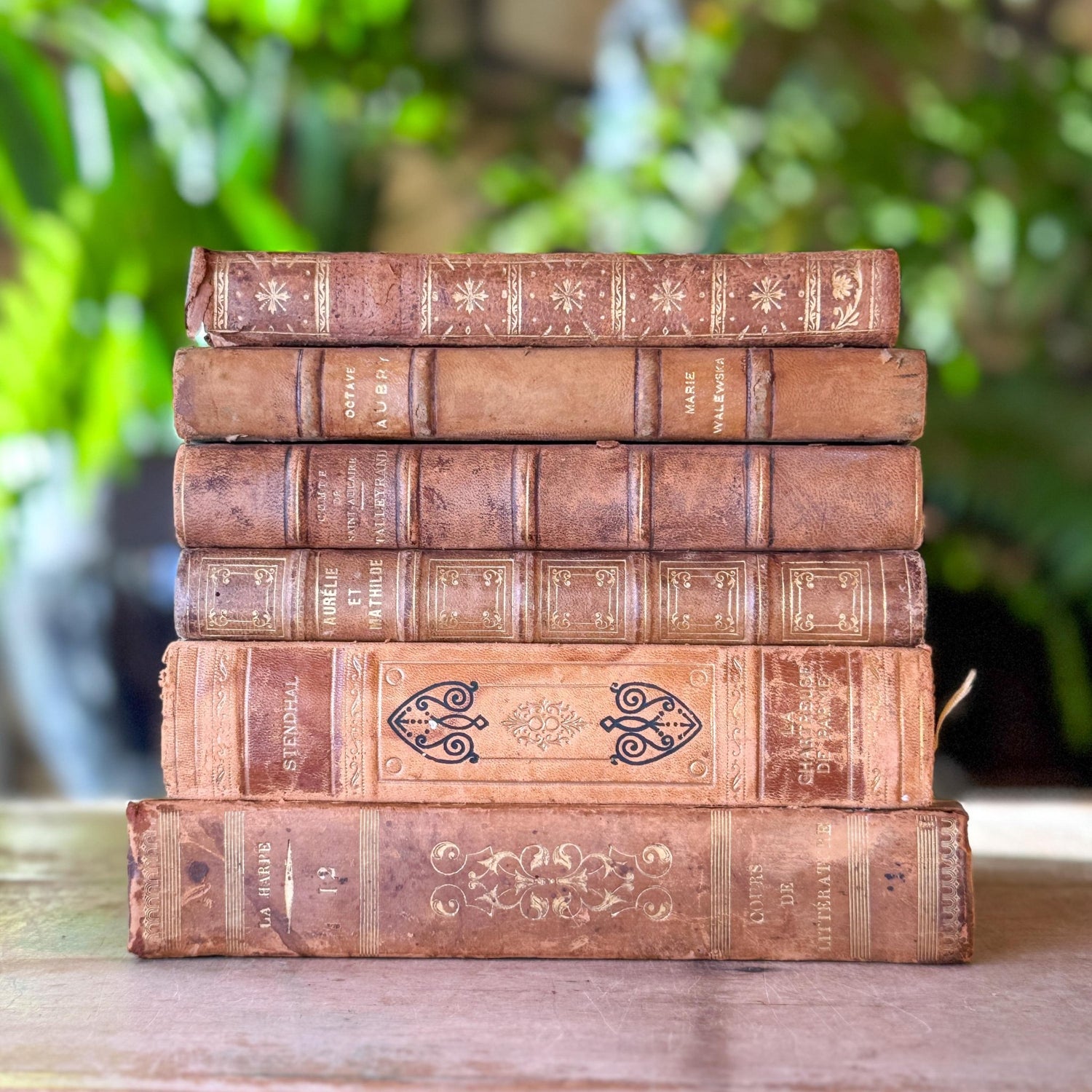 Antique French Leather Book Bundle in Caramel, Brown, and Tan - Pretty Old Books