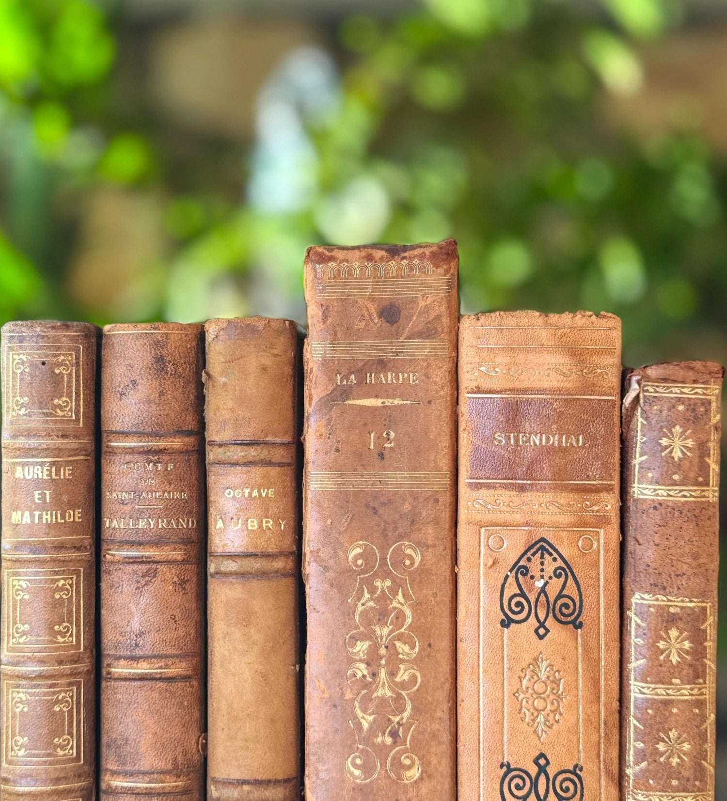 Antique French Leather Book Bundle in Caramel, Brown, and Tan - Pretty Old Books