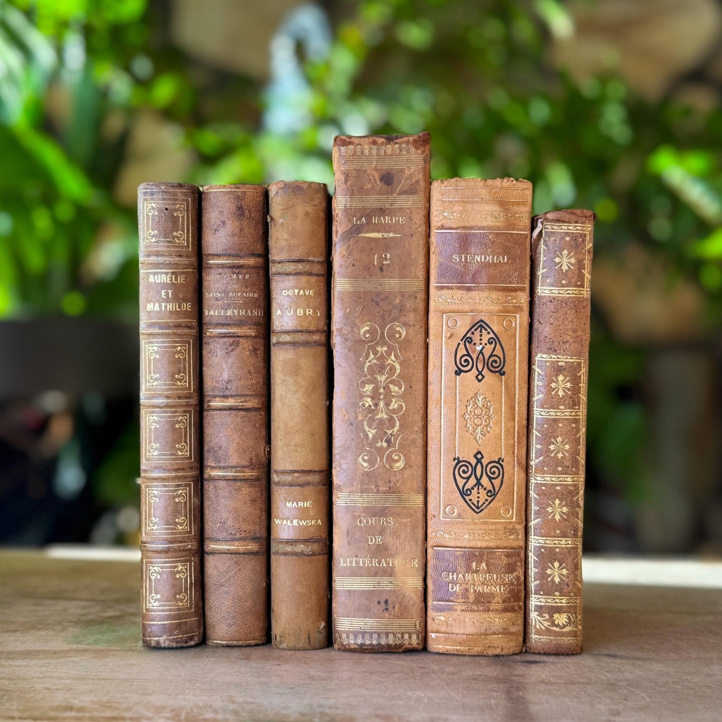 Antique French Leather Book Bundle in Caramel, Brown, and Tan - Pretty Old Books