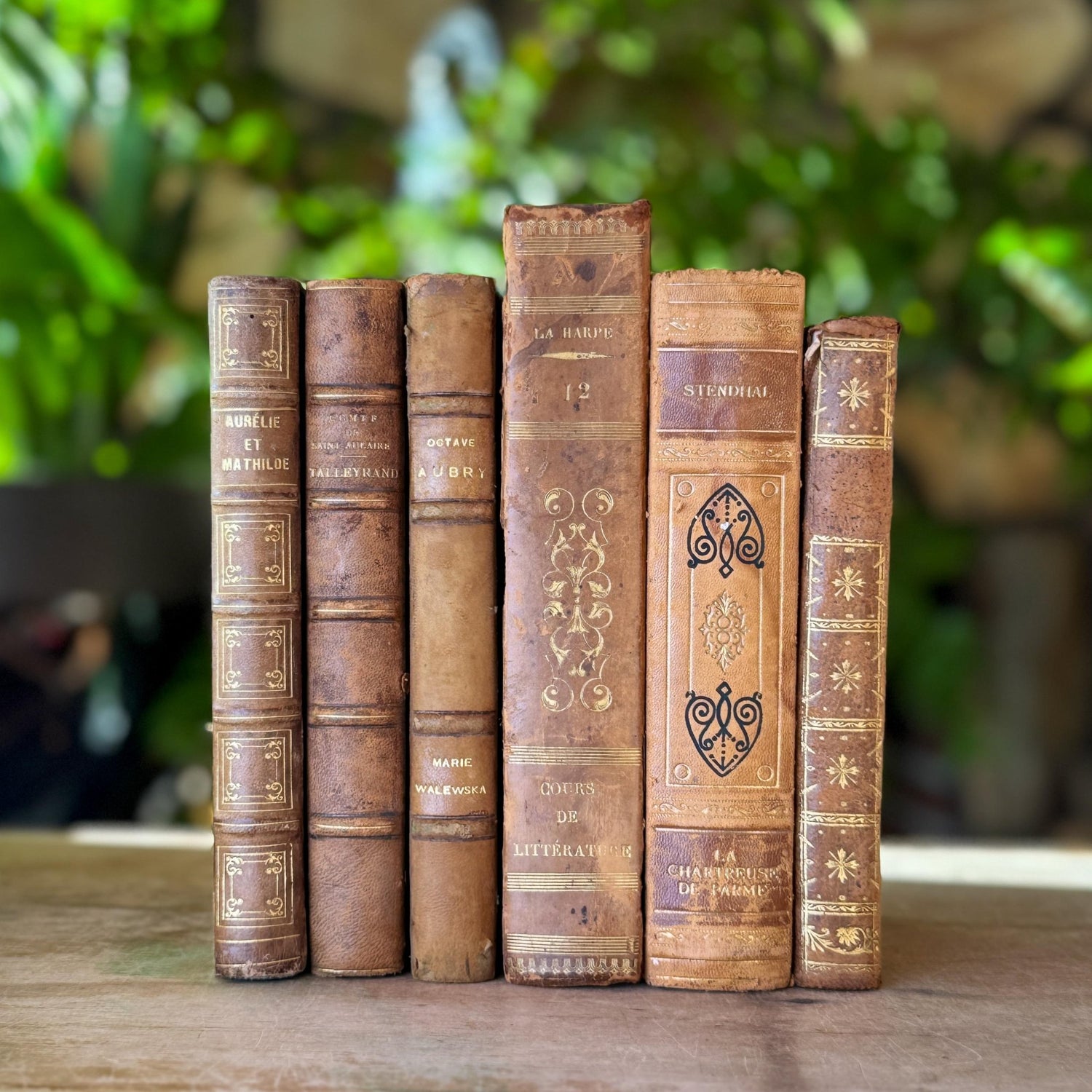 Antique French Leather Book Bundle in Caramel, Brown, and Tan - Pretty Old Books