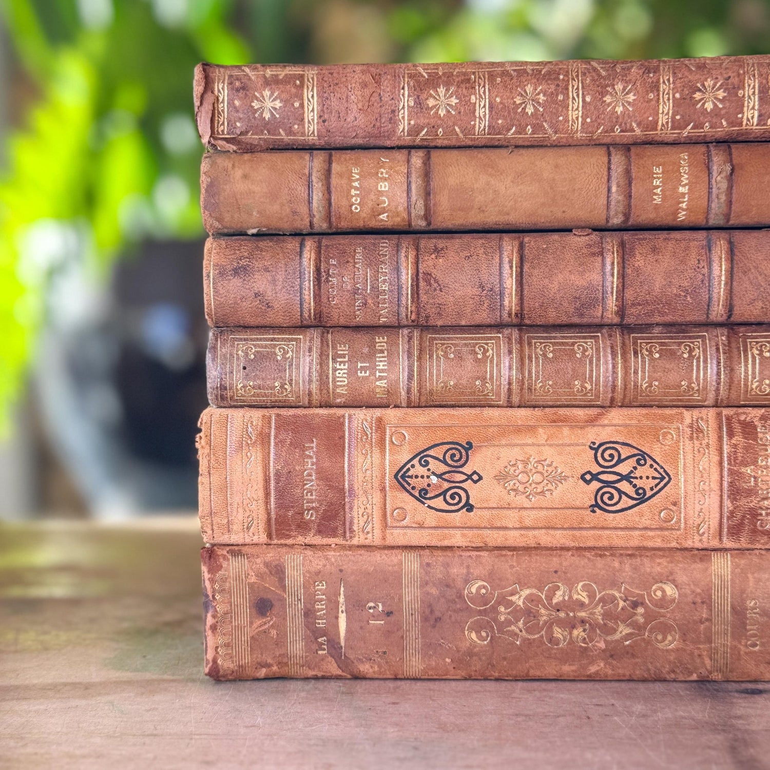 Antique French Leather Book Bundle in Caramel, Brown, and Tan - Pretty Old Books