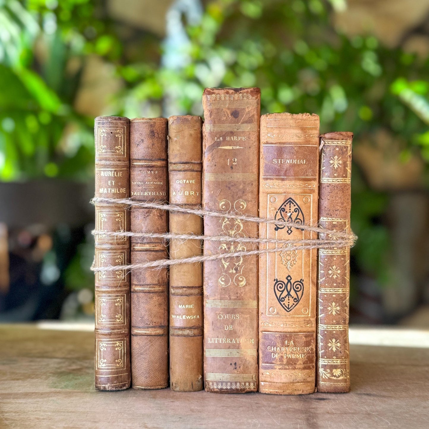 Antique French Leather Book Bundle in Caramel, Brown, and Tan - Pretty Old Books