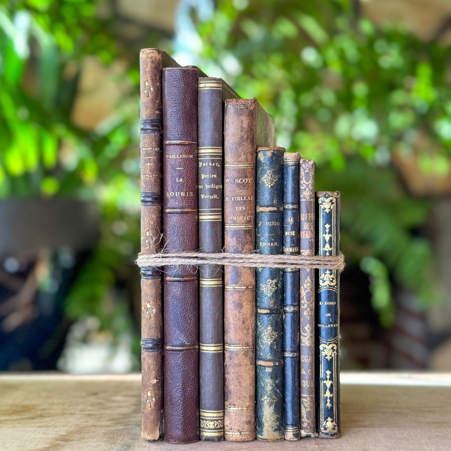 Antique French Leather Book Bundle of Slim Brown Books 1821-1900s, Victor Hugo Hernani, Walter Scott - Pretty Old Books