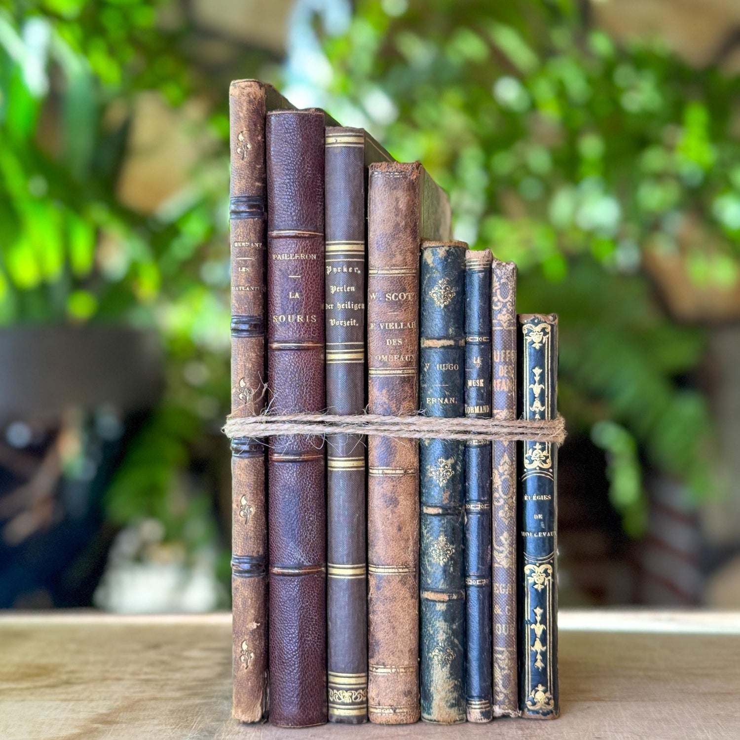 Antique French Leather Book Bundle of Slim Brown Books 1821-1900s, Victor Hugo Hernani, Walter Scott - Pretty Old Books