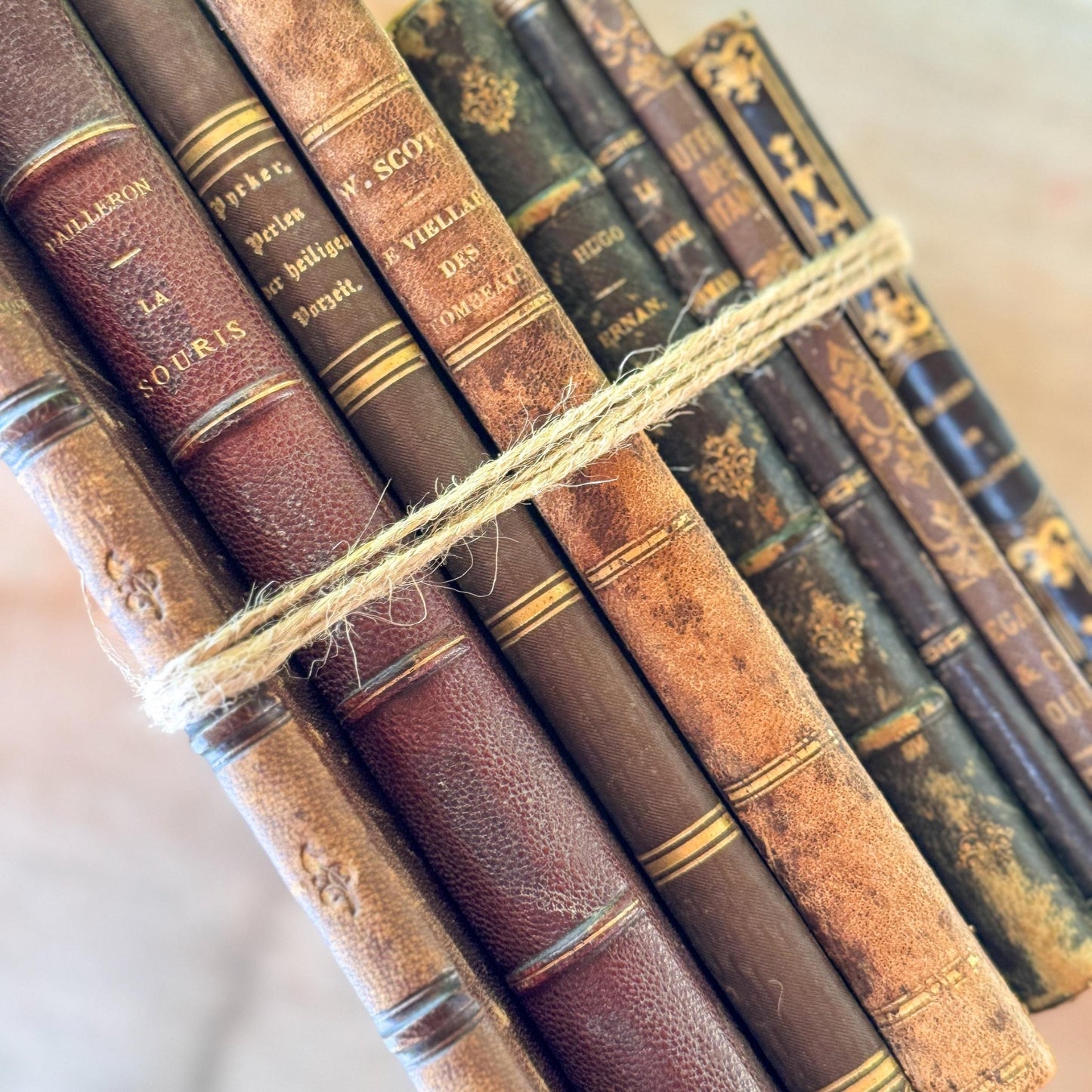 Antique French Leather Book Bundle of Slim Brown Books 1821-1900s, Victor Hugo Hernani, Walter Scott - Pretty Old Books