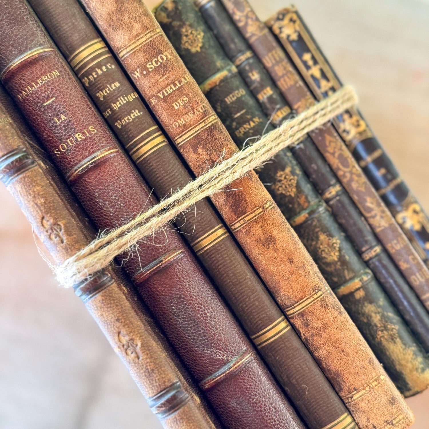 Antique French Leather Book Bundle of Slim Brown Books 1821-1900s, Victor Hugo Hernani, Walter Scott - Pretty Old Books