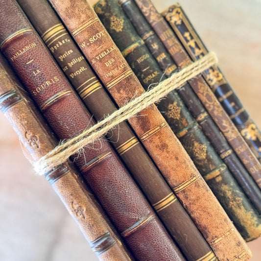 Antique French Leather Book Bundle of Slim Brown Books 1821-1900s, Victor Hugo Hernani, Walter Scott - Pretty Old Books
