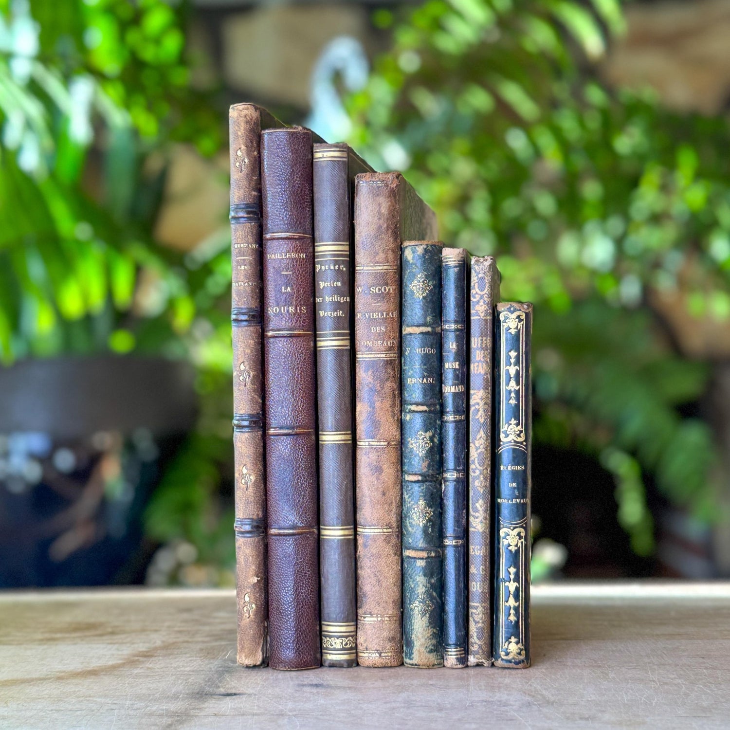 Antique French Leather Book Bundle of Slim Brown Books 1821-1900s, Victor Hugo Hernani, Walter Scott - Pretty Old Books