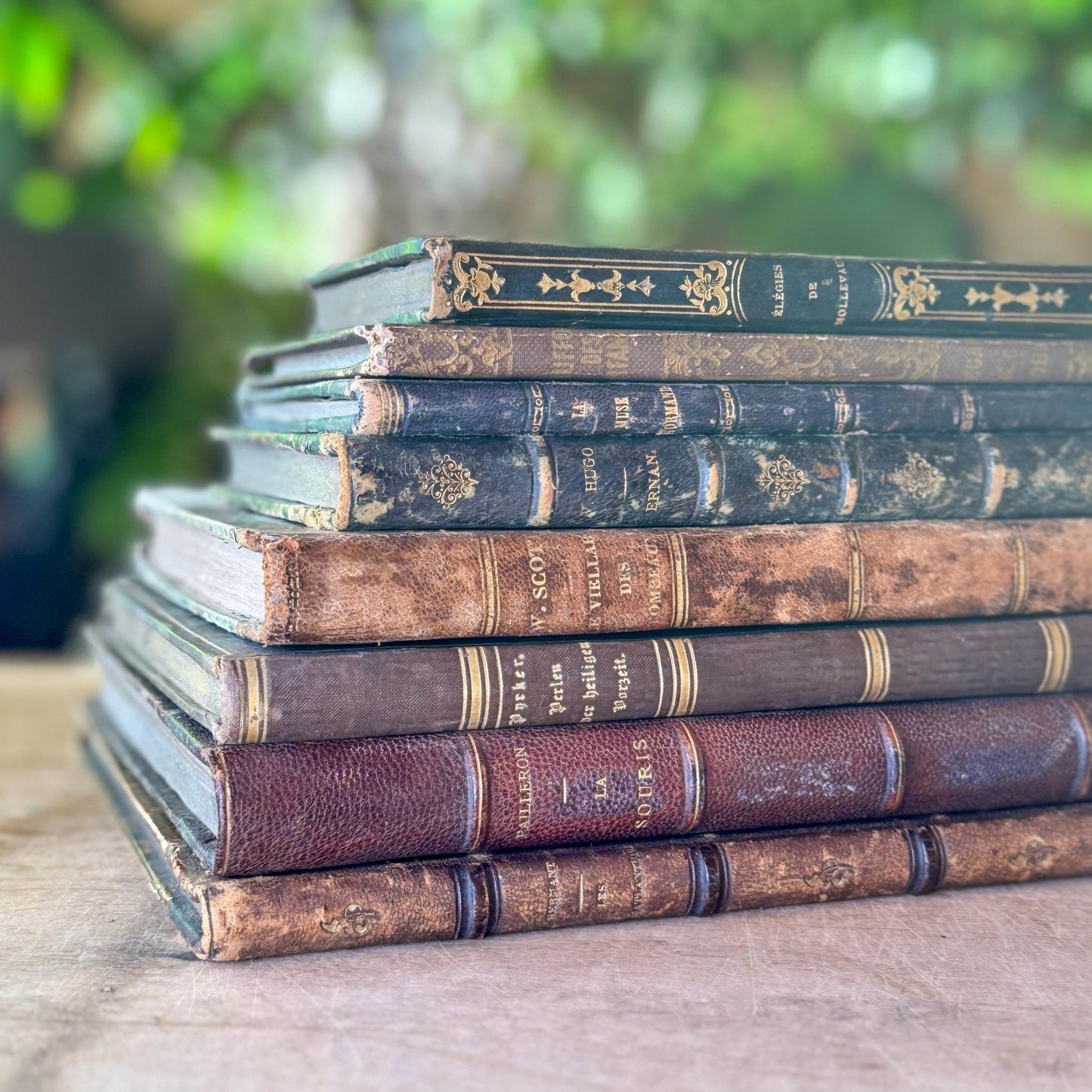 Antique French Leather Book Bundle of Slim Brown Books 1821-1900s, Victor Hugo Hernani, Walter Scott - Pretty Old Books