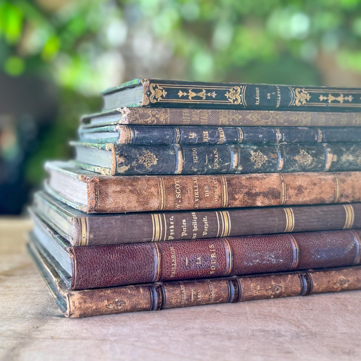 Antique French Leather Book Bundle of Slim Brown Books 1821-1900s, Victor Hugo Hernani, Walter Scott - Pretty Old Books