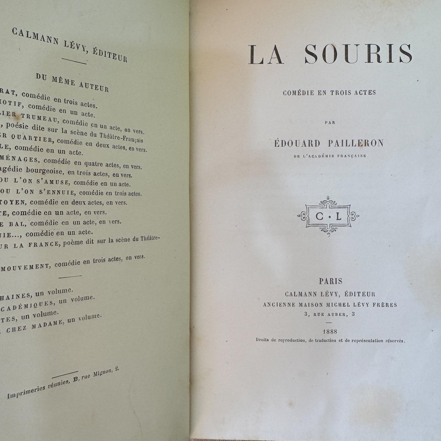 Antique French Leather Book Bundle of Slim Brown Books 1821-1900s, Victor Hugo Hernani, Walter Scott - Pretty Old Books