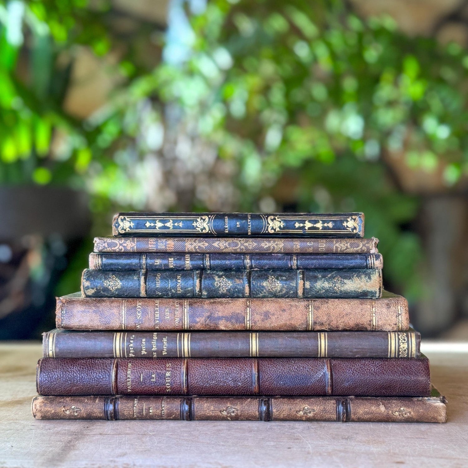 Antique French Leather Book Bundle of Slim Brown Books 1821-1900s, Victor Hugo Hernani, Walter Scott - Pretty Old Books