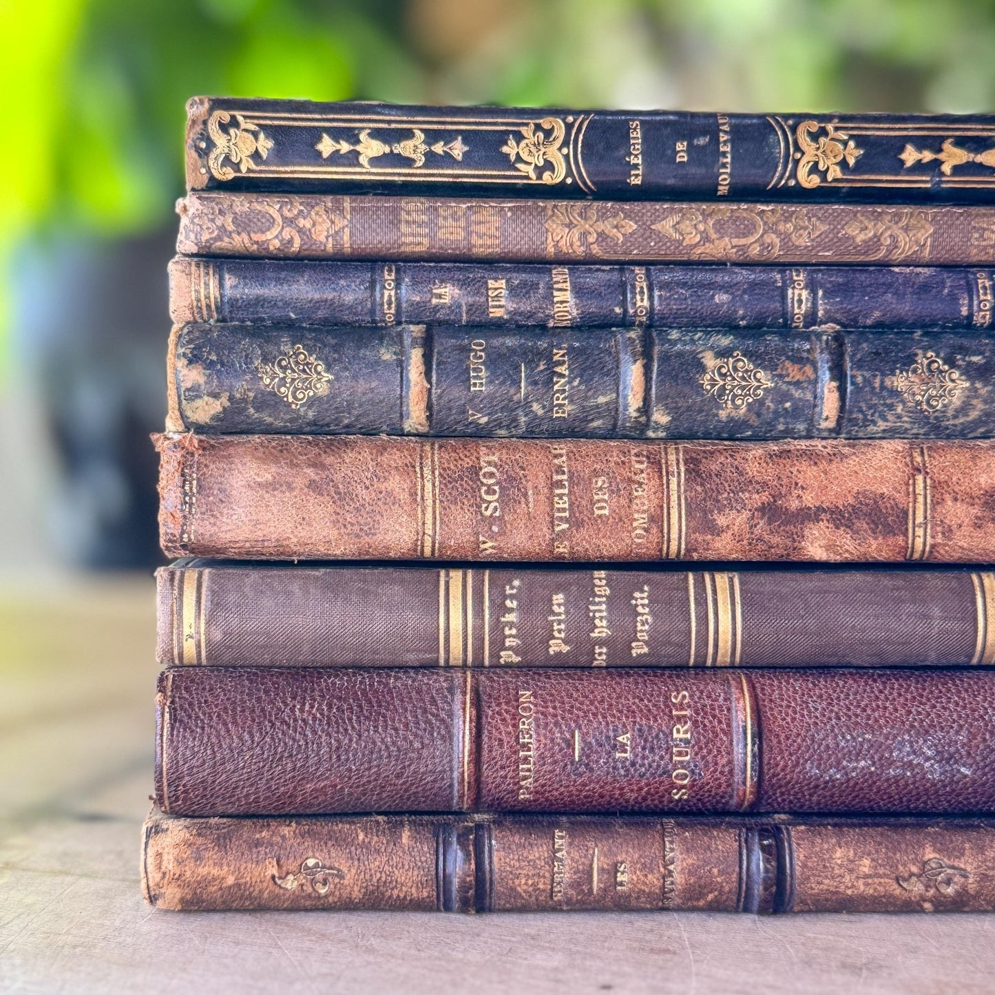 Antique French Leather Book Bundle of Slim Brown Books 1821-1900s, Victor Hugo Hernani, Walter Scott - Pretty Old Books