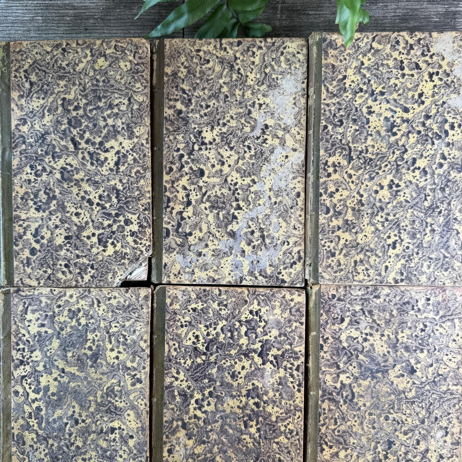 Antique French Leather Book Set of Tacitus, Complete 6-Volume Set, 1818 - Pretty Old Books