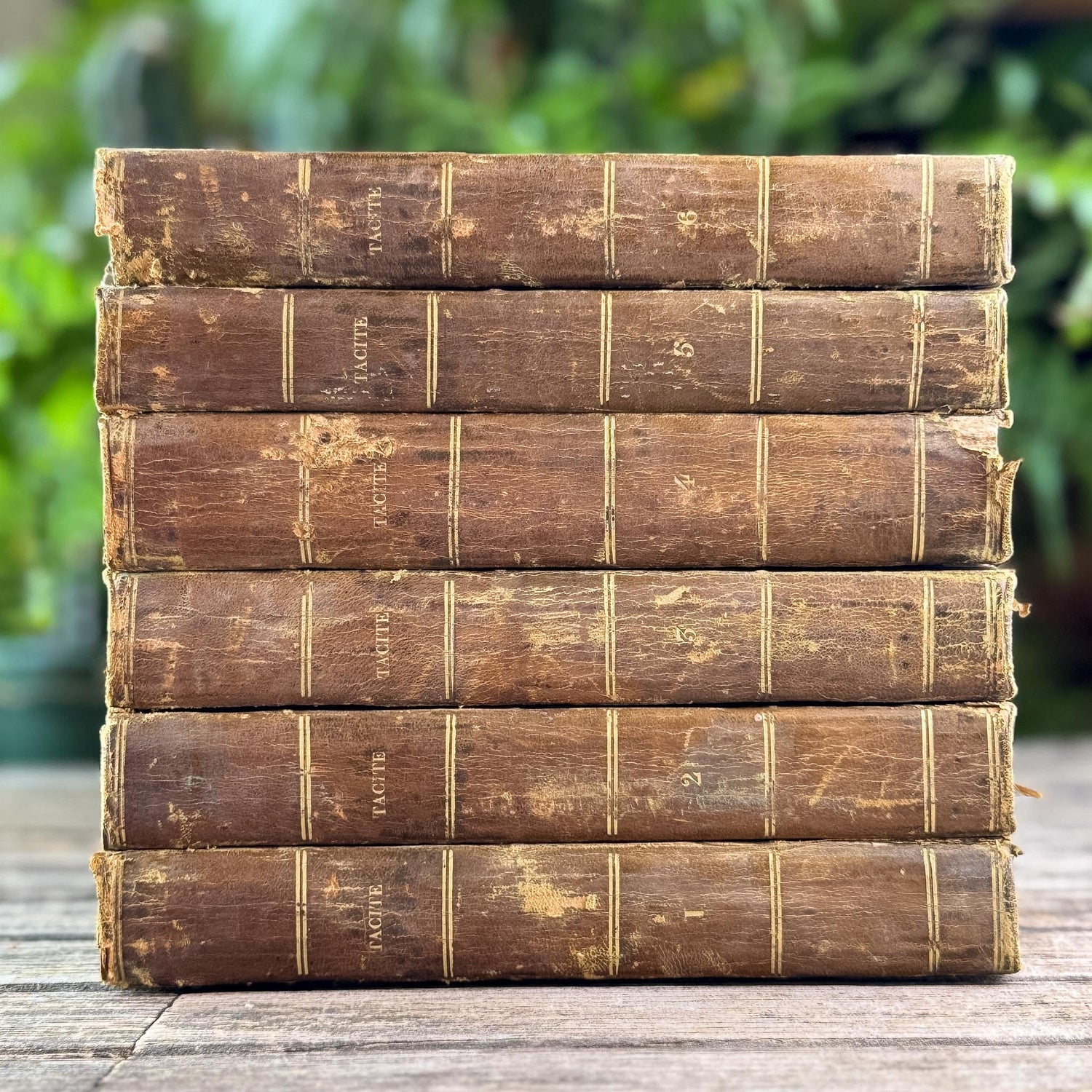 Antique French Leather Book Set of Tacitus, Complete 6-Volume Set, 1818 - Pretty Old Books