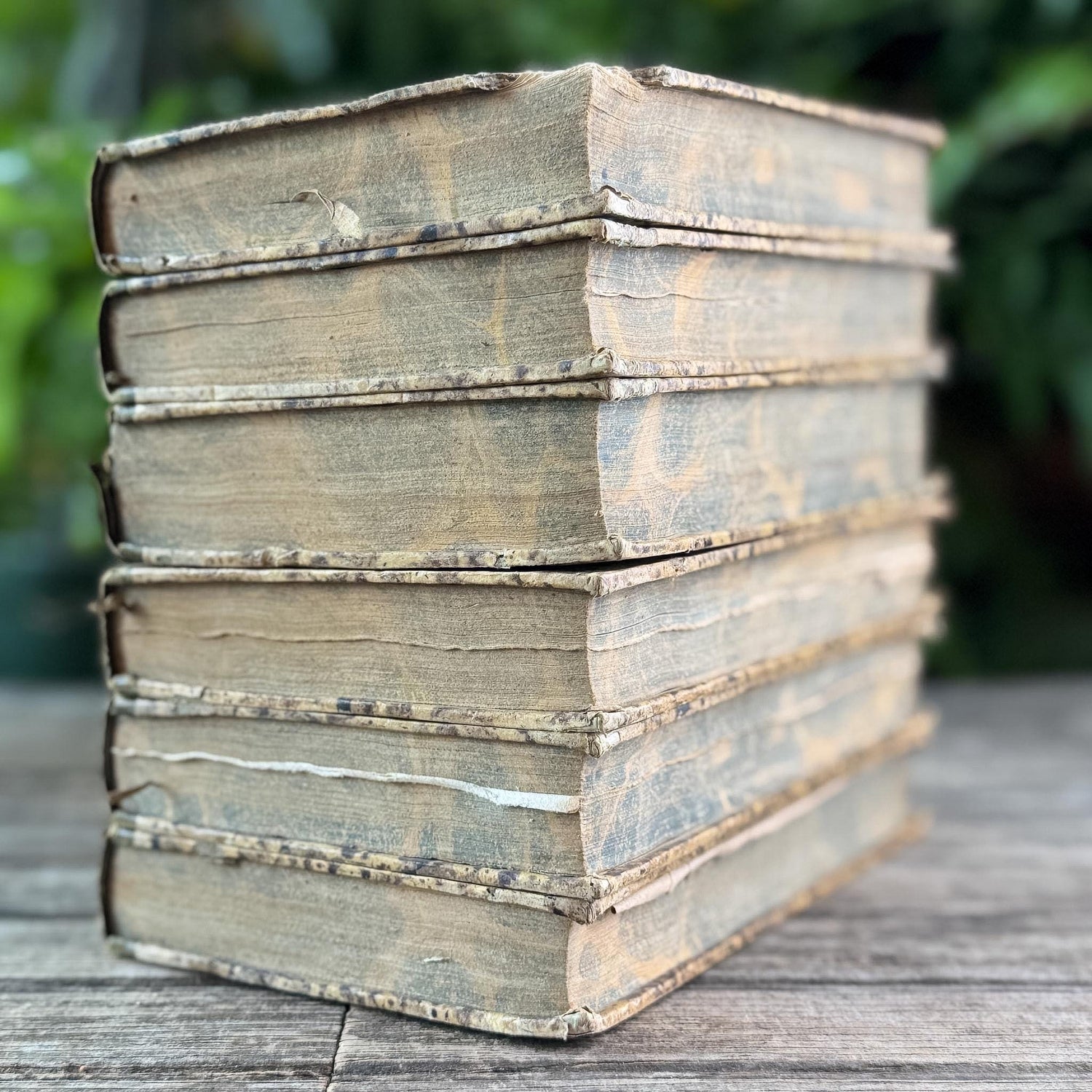 Antique French Leather Book Set of Tacitus, Complete 6-Volume Set, 1818 - Pretty Old Books