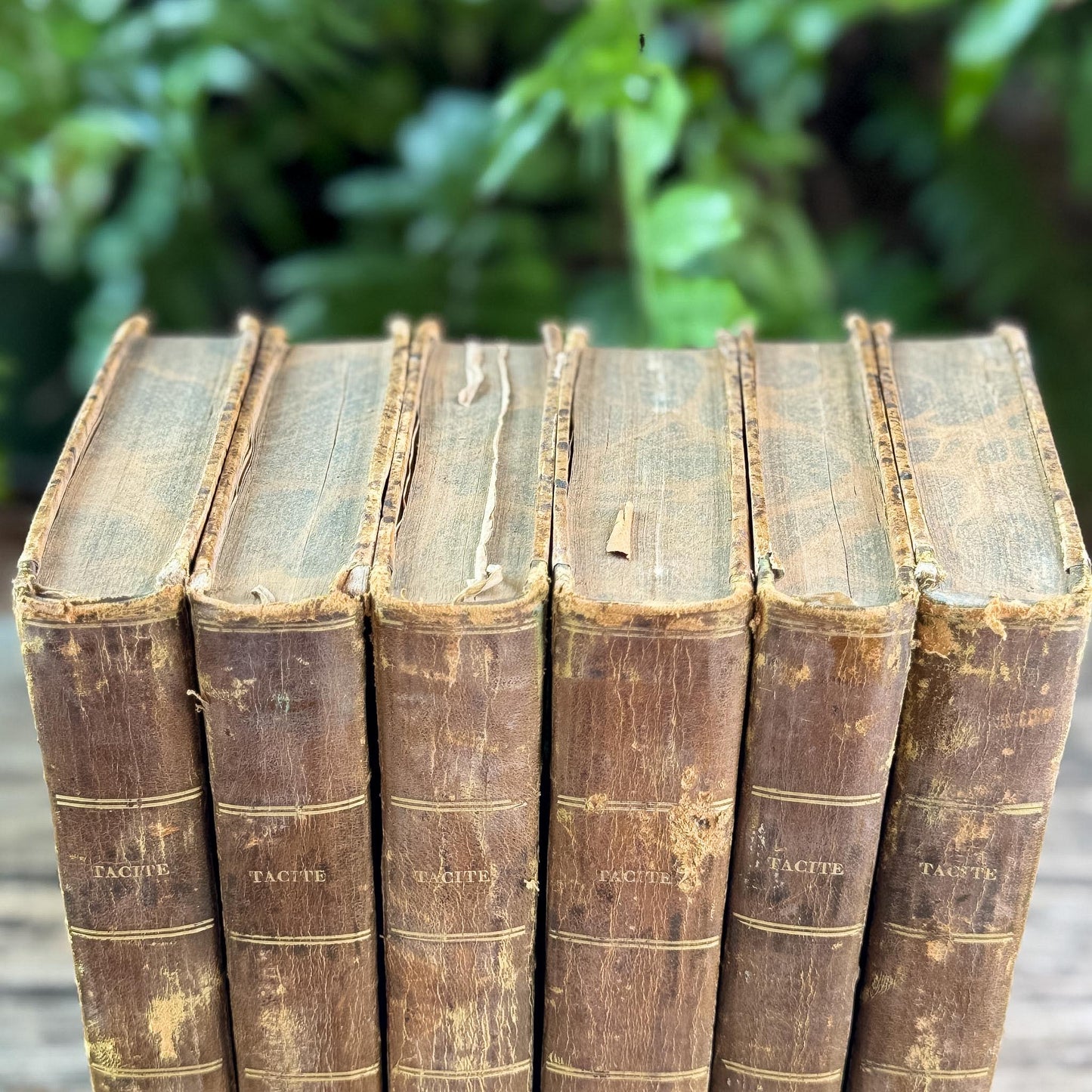 Antique French Leather Book Set of Tacitus, Complete 6-Volume Set, 1818 - Pretty Old Books
