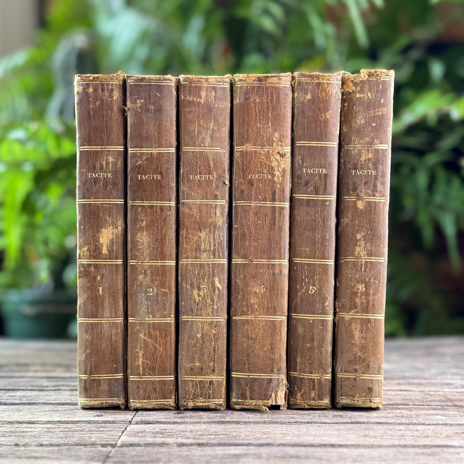 Antique French Leather Book Set of Tacitus, Complete 6-Volume Set, 1818 - Pretty Old Books