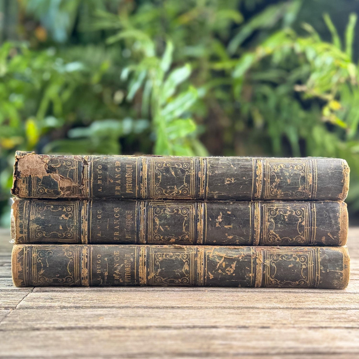 Coffee Table and Oversized Book Bundles