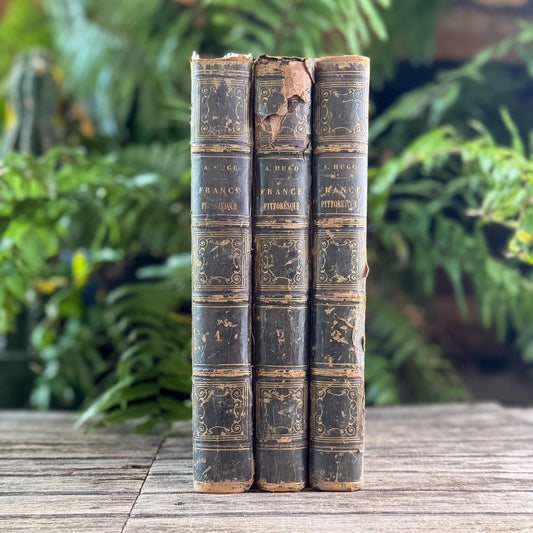 Antique French Leather Book Set Picturesque France by A. Hugo, Complete 3-Volume Set, 1835 - Pretty Old Books