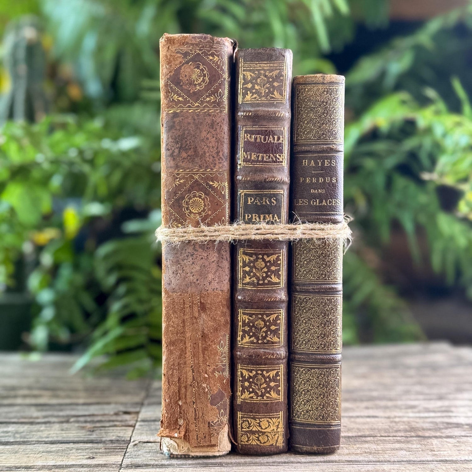 Antique French Oversized Shabby Leather Book Set from 1700s-1800s