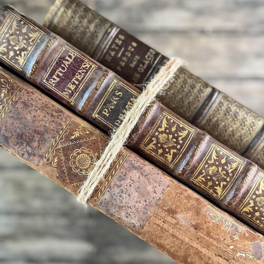 Antique French Oversized Shabby Leather Book Set from 1700s-1800s - Pretty Old Books