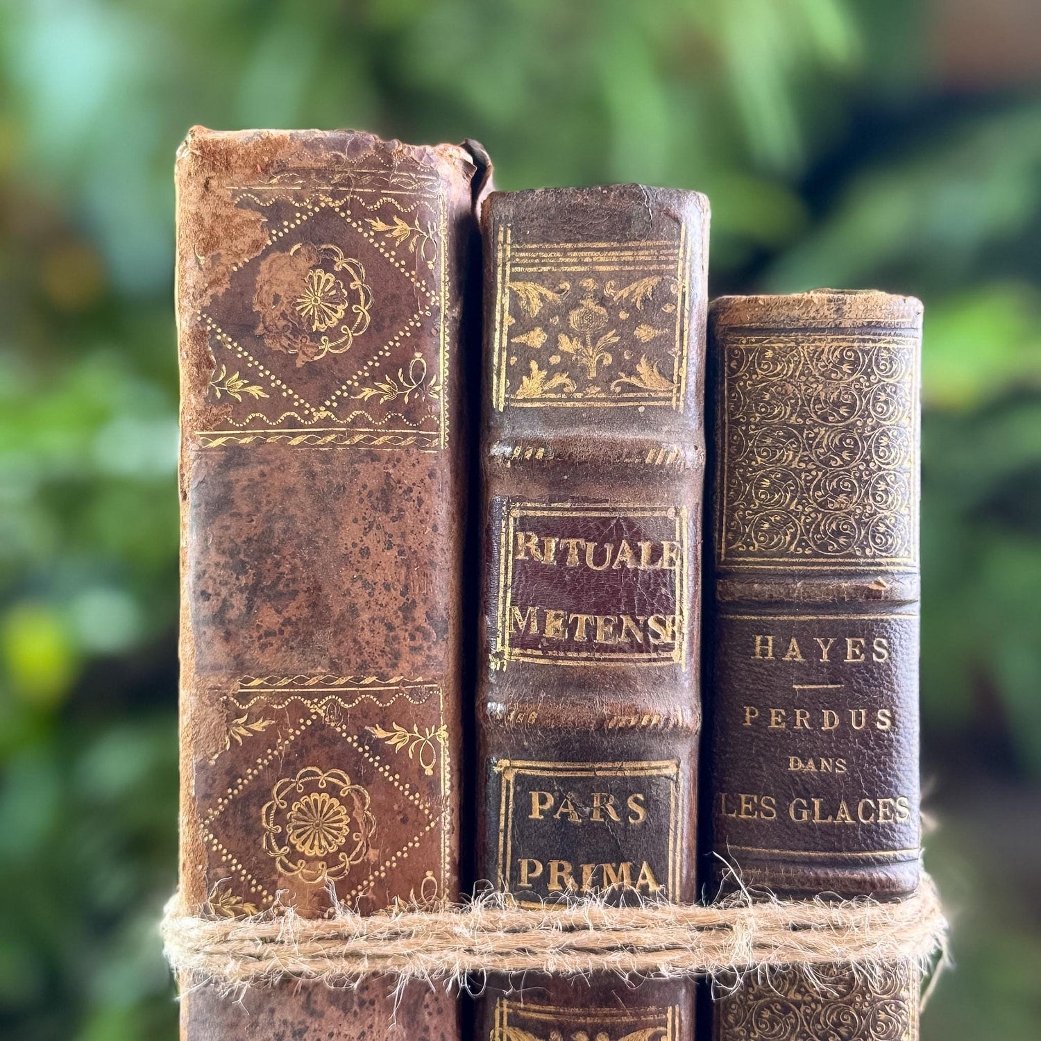 Antique French Oversized Shabby Leather Book Set from 1700s-1800s
