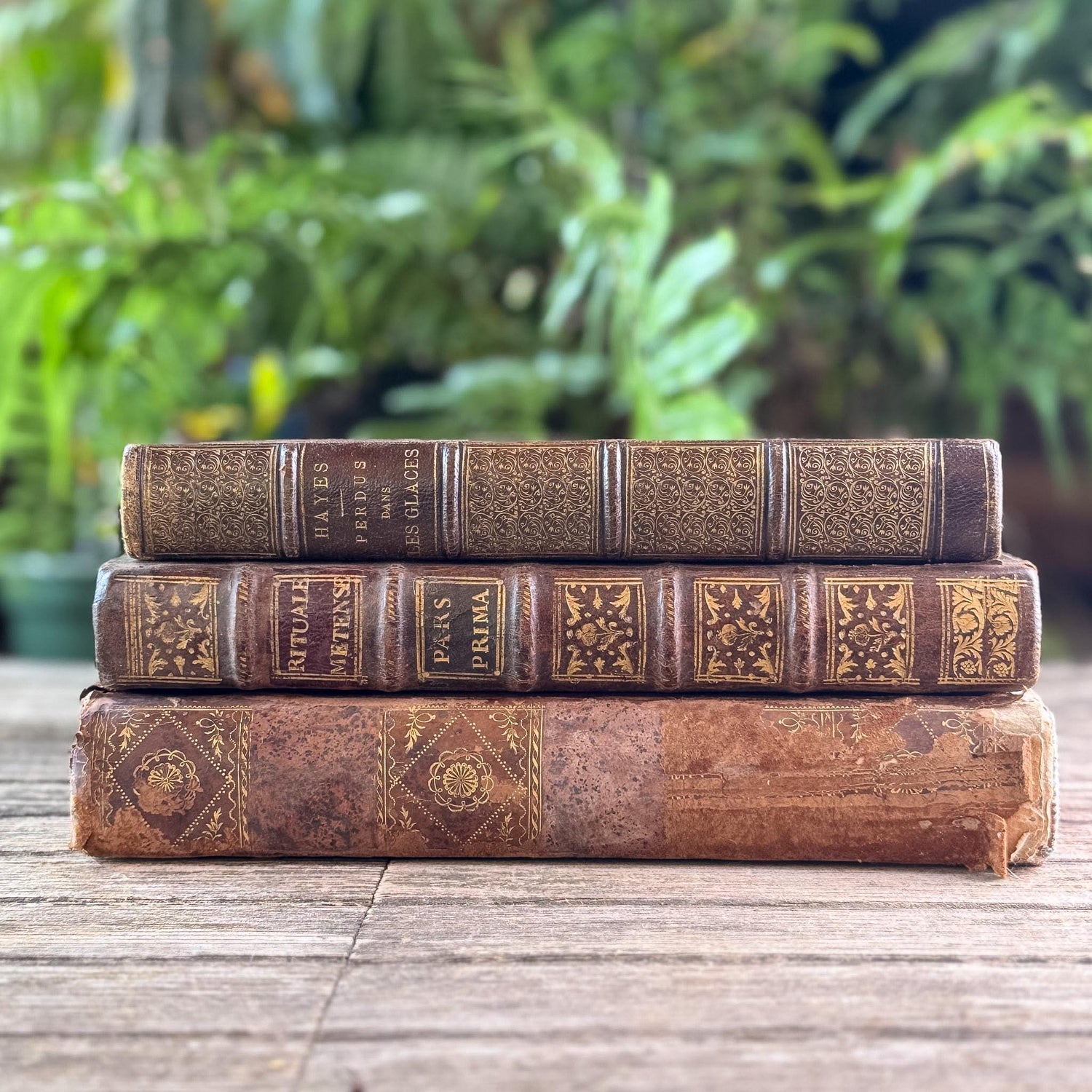 Rare Vintage Books