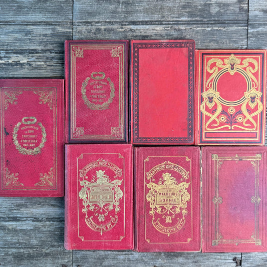 Antique French Red Book Set, 1861-1890, Les Malheurs de Sophie, Bibliothèque Rose & Prize Books, Cartonnage - Pretty Old Books