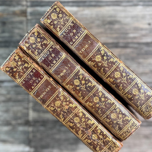 Antique French Small Leather Book Set, Œuvres de Campistron, Complete 3-Volume Set, 1750 - Pretty Old Books
