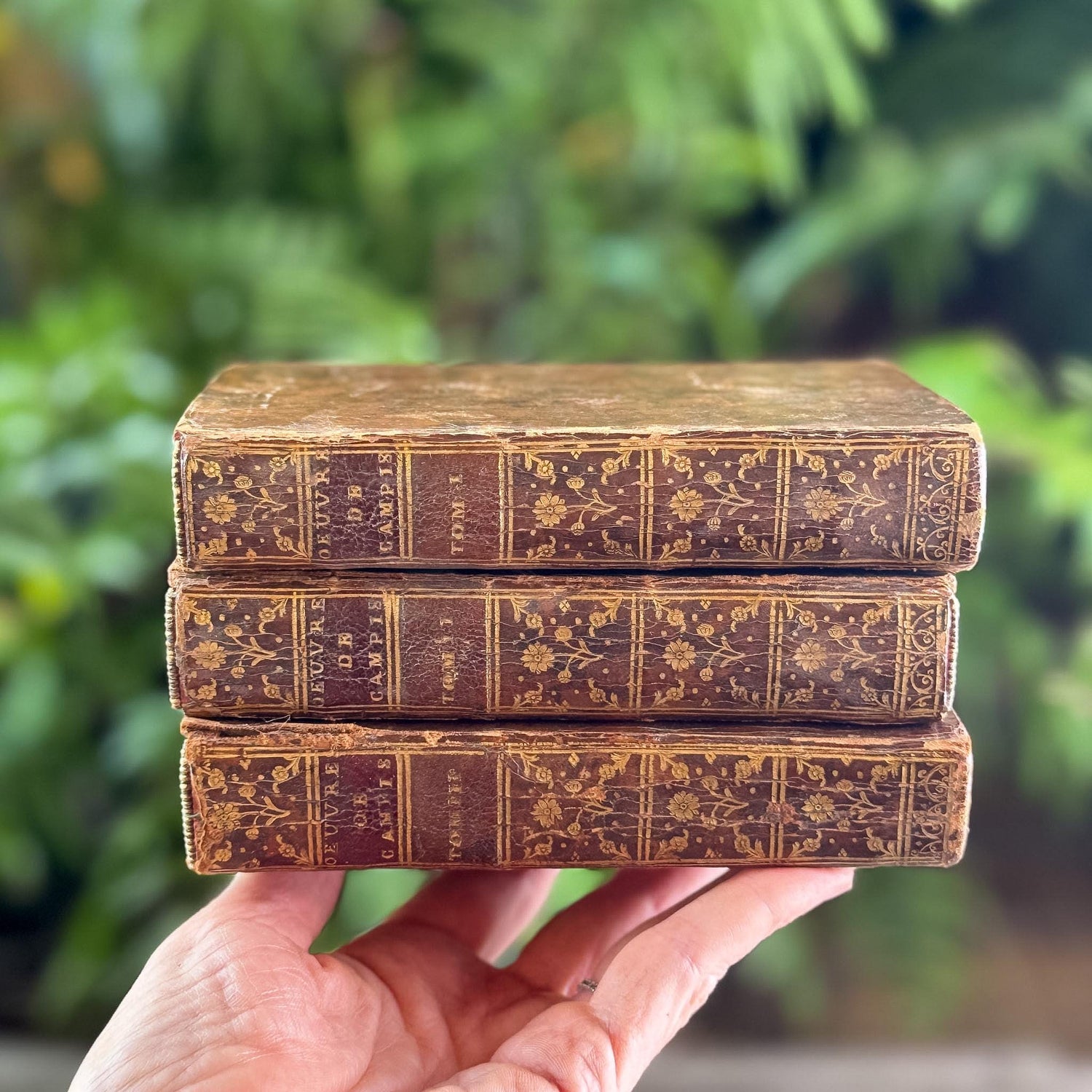 Antique Leather-Bound Book Bundles and Sets