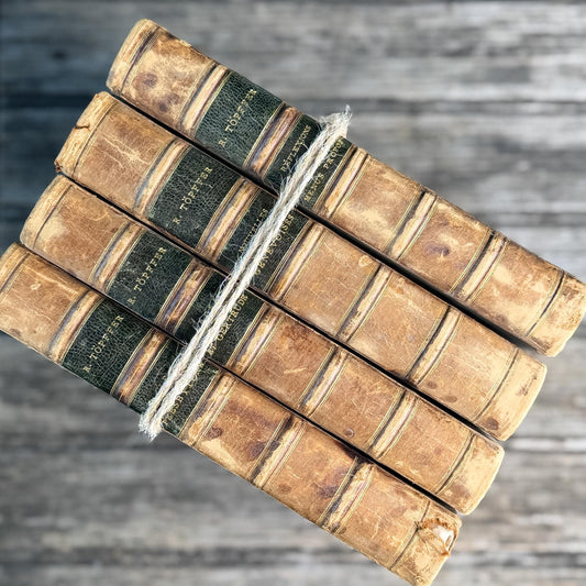 Antique Leather-Bound French Book Set, Topffer, 1860s - Pretty Old Books