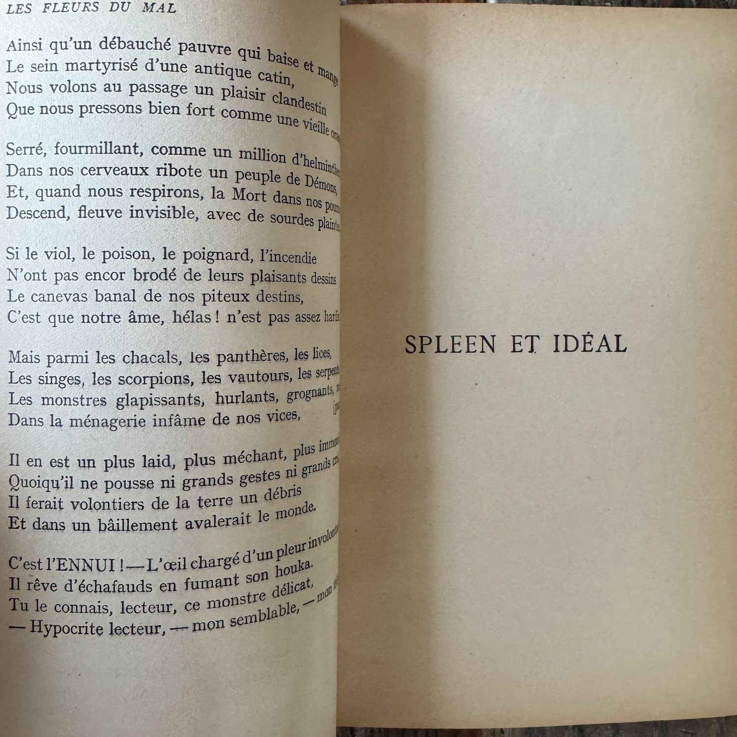 Antique Leather - Bound French Edition of Les Fleurs du Mal, Charles Baudelaire - Pretty Old Books