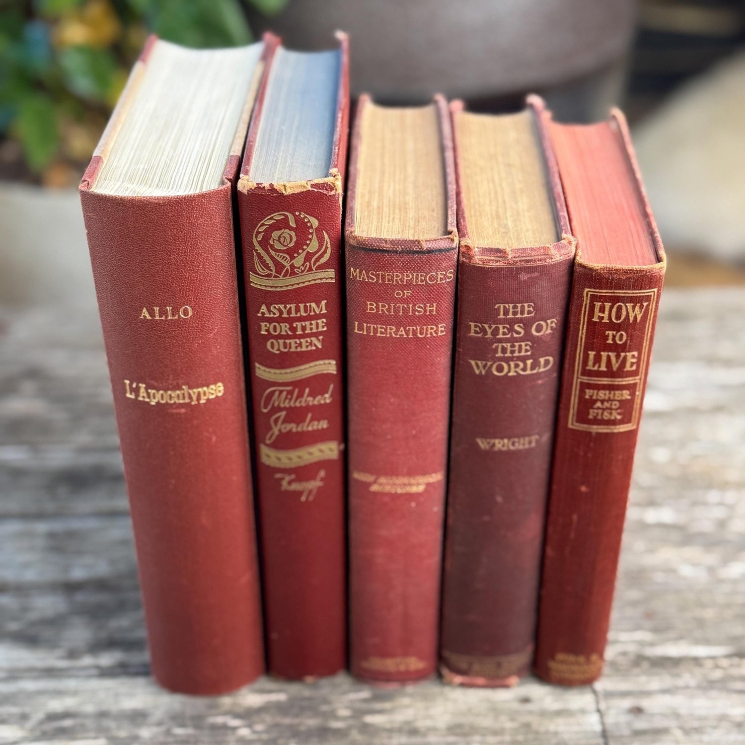 Antique Maroon Red and Gold Book Set, Books By Color for Shelf Styling - Pretty Old Books