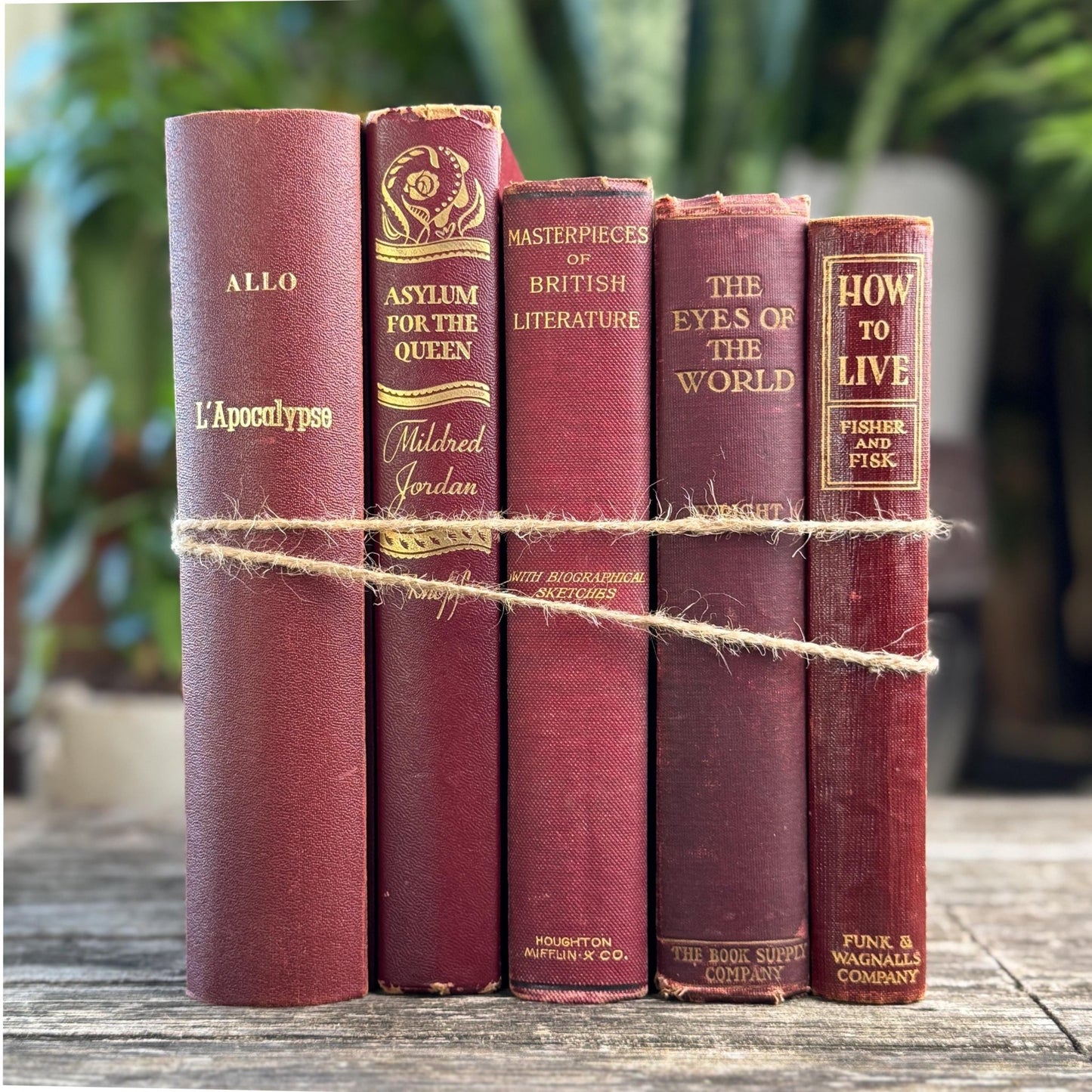Antique Maroon Red and Gold Book Set, Books By Color for Shelf Styling - Pretty Old Books