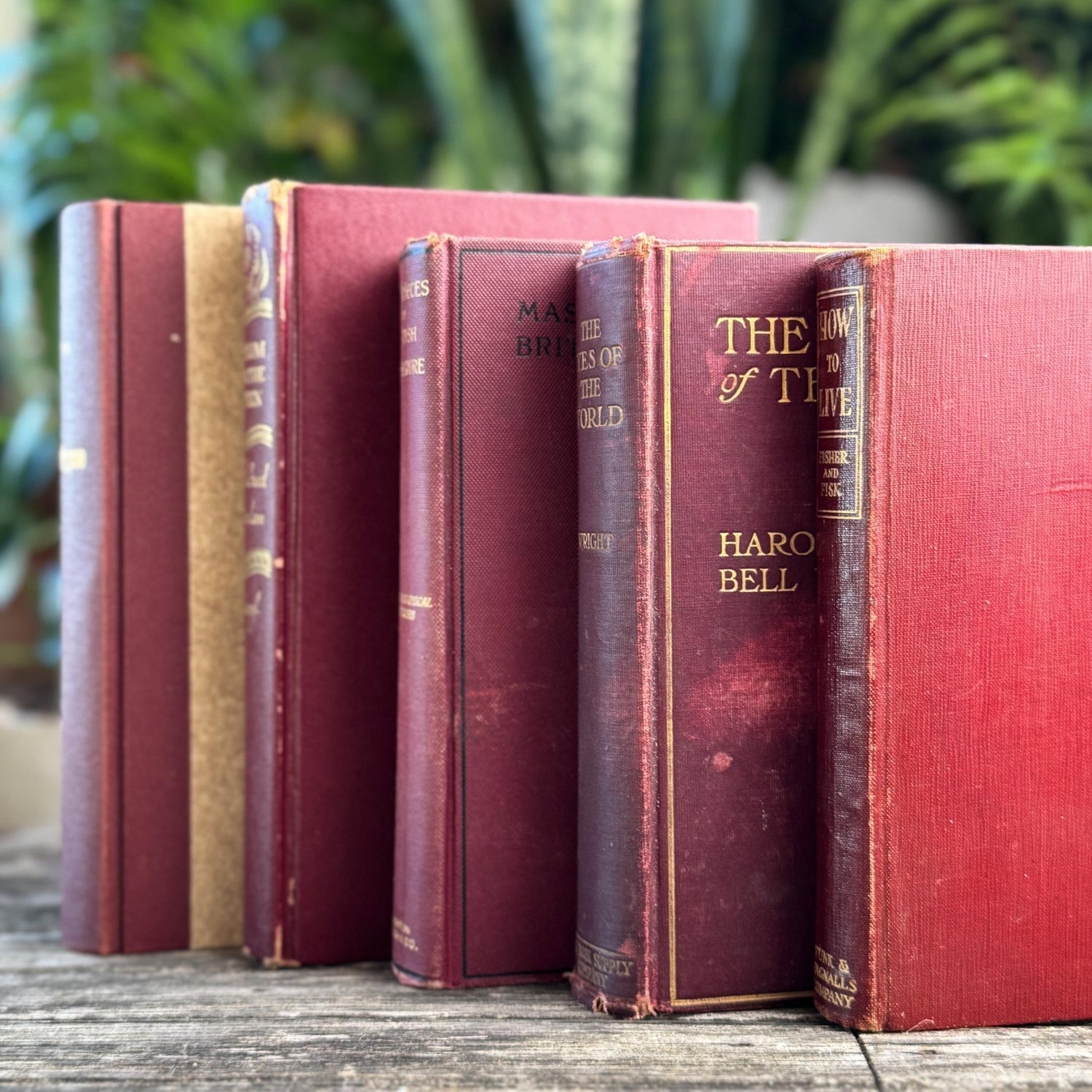 Antique Maroon Red and Gold Book Set, Books By Color for Shelf Styling - Pretty Old Books