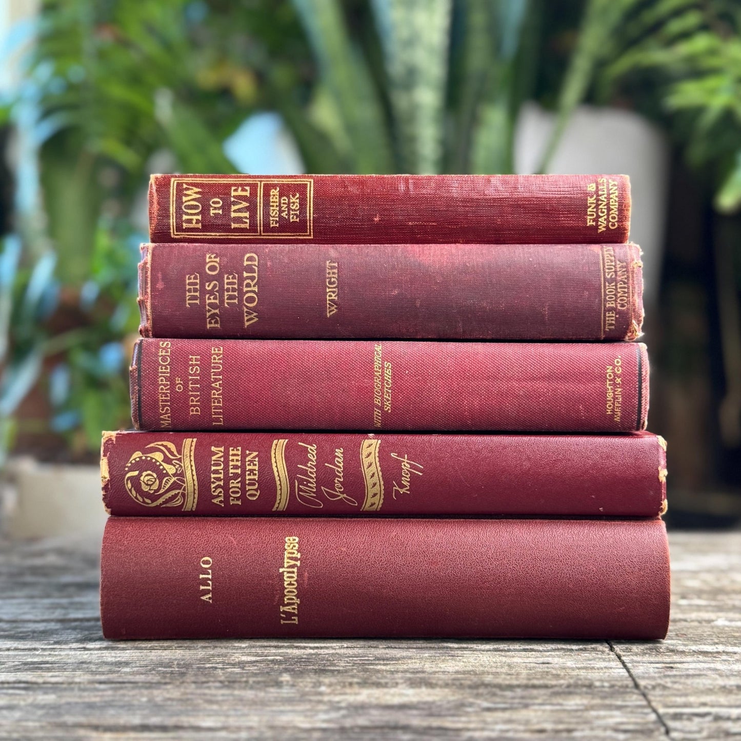 Antique Maroon Red and Gold Book Set, Books By Color for Shelf Styling - Pretty Old Books